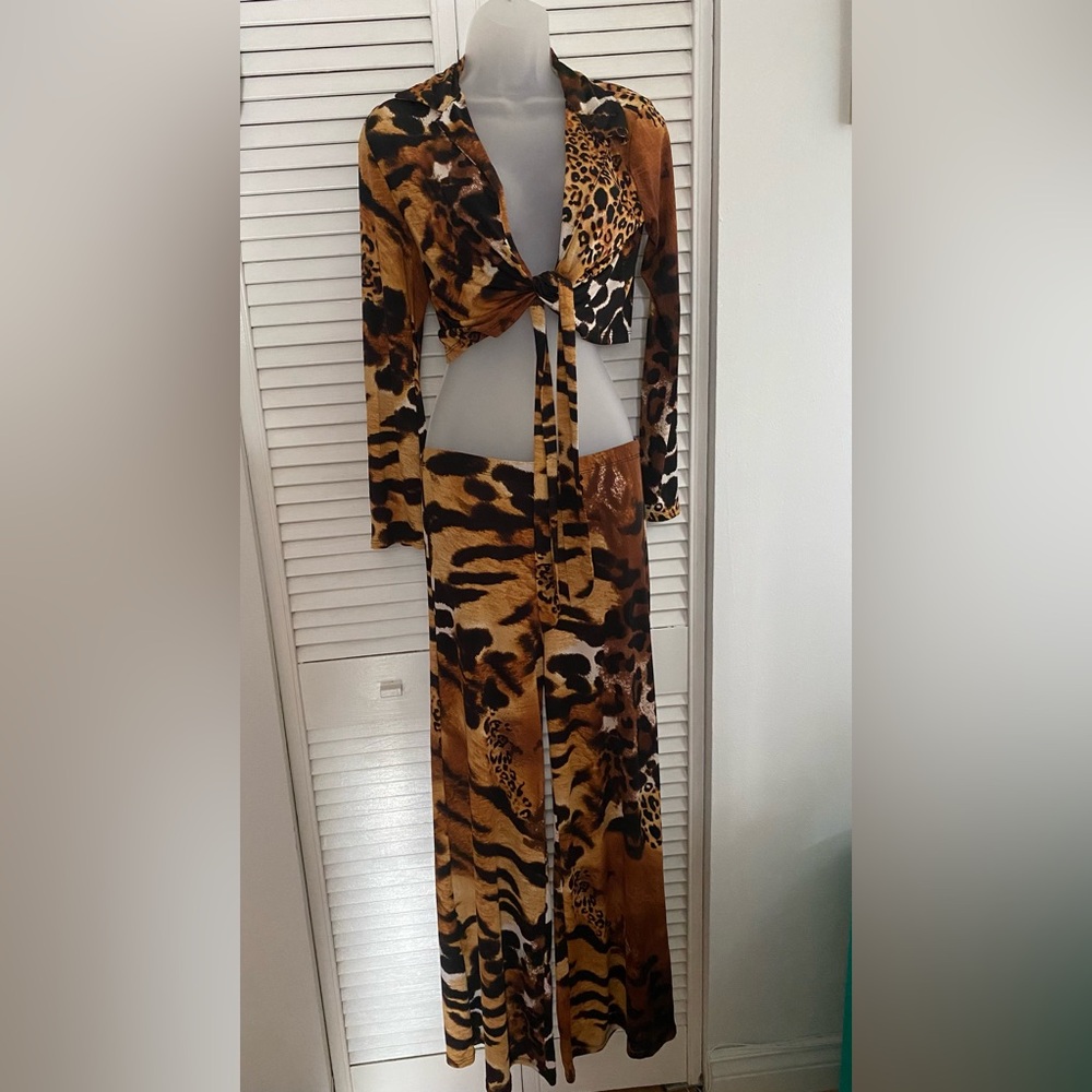 Leopard Print Tie-Front Top and Pants Set